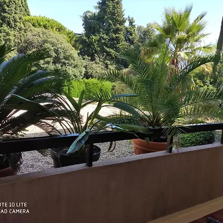 Les Palmiers * ניס