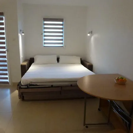 Les Palmiers Apartment Nice