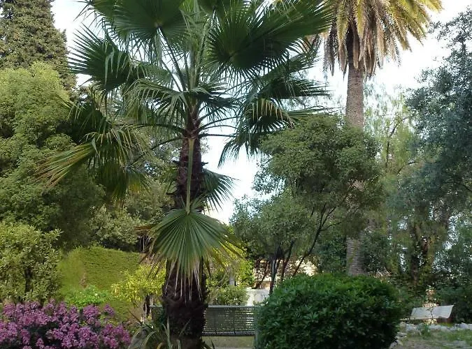 Appartement Les Palmiers